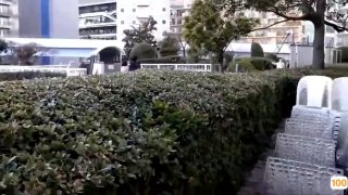 91精品国产日本波多野结衣,成人视频高清免费观看